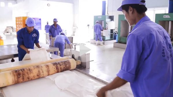 Phim quy trình sản xuất của Long Hải